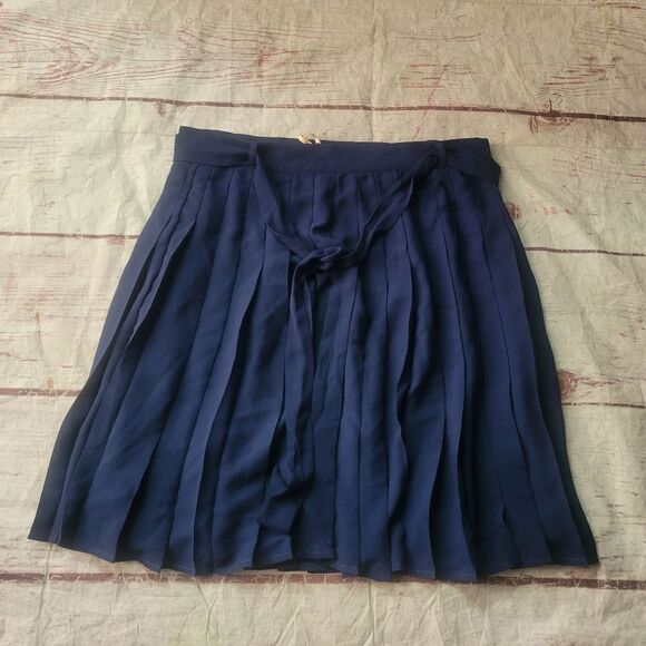 Modcloth Purely Pretty Pleated Skirt Size 12 NWT - Picture 3 of 7